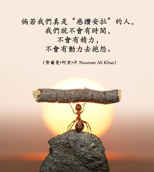 倘若我们真是“感赞安拉”的人