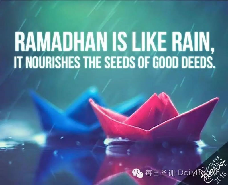 斋月就像一场雨 它滋润着善功的种子