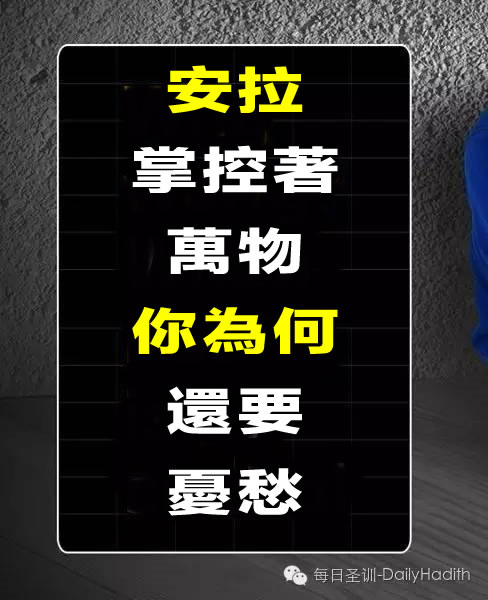 安拉掌控着万物，你为何还要忧愁
