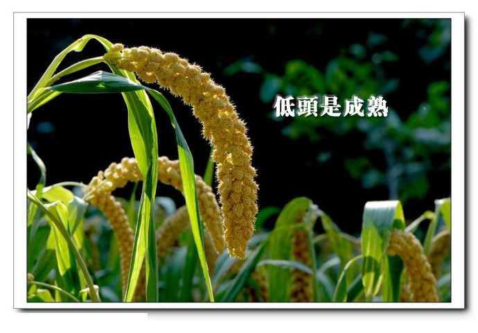 请勿炫耀  切忌骄傲