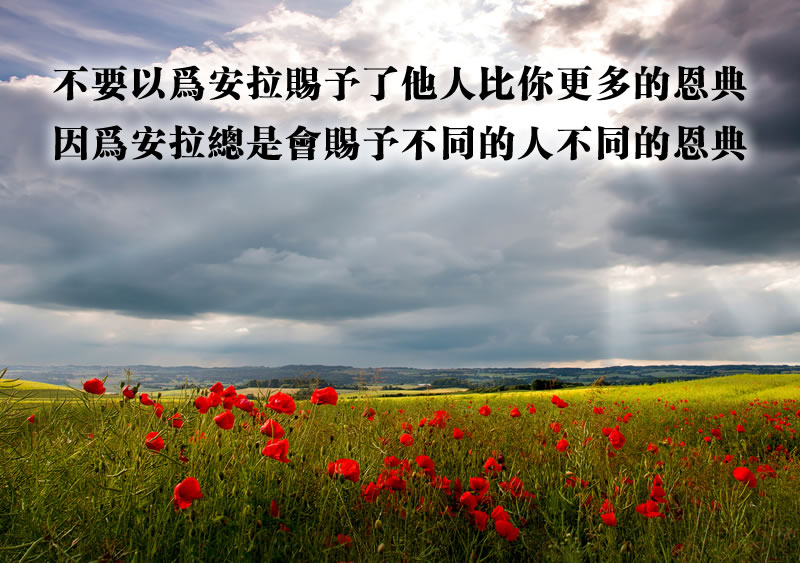 安拉会赐予不同的人不同的恩典